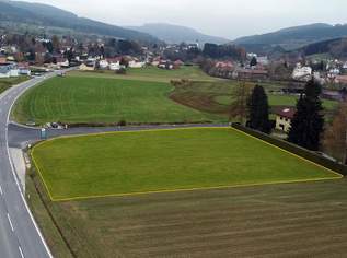 Großes BAUGRUNDSTÜCK im Yspertal - Widmung Bauland/Wohnen, 148512 €, Immobilien-Grund und Boden in 3683 Gemeinde Yspertal