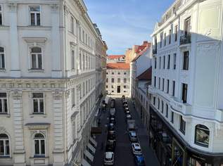 Großzügige, neu renovierte Büro-Wohnung in repräsentativem Stilaltbau Nähe Staatsoper!, 4949.45 €, Immobilien-Wohnungen in 1010 Innere Stadt