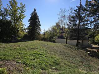 Exklusive Liegenschaft in begehrter Villenlage von Bad Fischau mit 1601m² Grundstück, 560000 €, Immobilien-Häuser in 2721 Bad Fischau