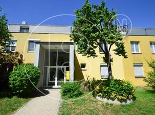 3-Zimmer-Gartenwohnung in Grünruhelage!, 499000 €, Immobilien-Wohnungen in 1220 Donaustadt 3-Zimmer-Gartenwohnung in Grünruhelage!, 499000 €, Immobilien-Wohnungen in 1220 Donaustadt