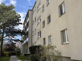 Korneuburg ! Schöne geräumige 2-Zi Wohnung mit Loggia Nähe Zentrum und Bahnhof in gepflegter Wohnhausanlage !, 239000 €, Immobilien-Wohnungen in 2100 Korneuburg Korneuburg ! Schöne geräumige 2-Zi Wohnung mit Loggia Nähe Zentrum und Bahnhof in gepflegter Wohnhausanlage !, 239000 €, Immobilien-Wohnungen in 2100 Korneuburg