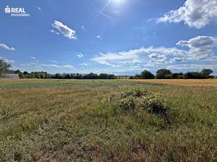 7361 Lutzmannsburg - Thermenregion Lutzmannsburg! Baugrundstück in Ortsrandlage, 67000 €, Immobilien-Grund und Boden in 7361 Lutzmannsburg 7361 Lutzmannsburg - Thermenregion Lutzmannsburg! Baugrundstück in Ortsrandlage, 67000 €, Immobilien-Grund und Boden in 7361 Lutzmannsburg