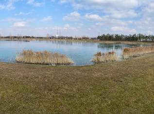 BAUGRUNDSTÜCK AM FÖHRENSEE IN TRASDORF INMITTEN DER NATUR AN FELDER DER REGION ANGRENZEND, 246400 €, Immobilien-Grund und Boden in 3452 Trasdorf