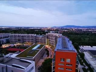 Loftartiger Single/Pärchen Hit im 15. Stock mit unverbaubarem Fernblick, 680000 €, Immobilien-Wohnungen in 1100 Favoriten