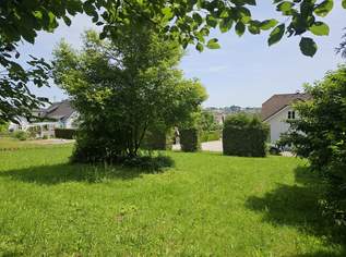 Baugrund - Neuhofen an der Krems, 186000 €, Immobilien-Grund und Boden in 4501 Neuhofen an der Krems