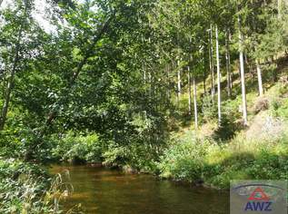 Ca. 8.5 ha Wald entlang der Waldaist !, 0 €, Immobilien-Gewerbeobjekte in 4293 Erdmannsdorf