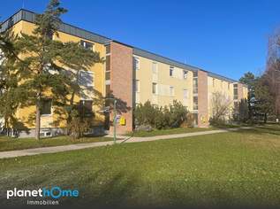 Sofortbezug mit Vollmöblierung, 255000 €, Immobilien-Wohnungen in 2344 Gemeinde Maria Enzersdorf Sofortbezug mit Vollmöblierung, 255000 €, Immobilien-Wohnungen in 2344 Gemeinde Maria Enzersdorf