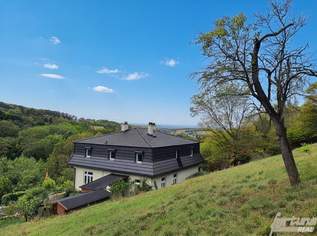 Renovierte 1900er-Jahre Villa in Alleinlage – Ruhe und Natur pur am Berg, 780000 €, Immobilien-Häuser in 3434 Gemeinde Tulbing