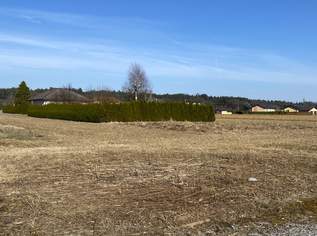 Ebenes Baugrundstück in Zwaring, sonnig und ruhig gelegen!, 129000 €, Immobilien-Grund und Boden in 8143 Zwaring Ebenes Baugrundstück in Zwaring, sonnig und ruhig gelegen!, 129000 €, Immobilien-Grund und Boden in 8143 Zwaring