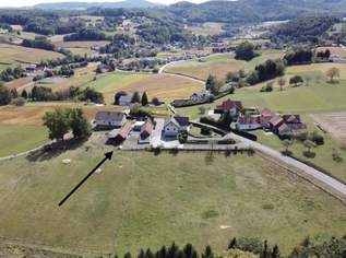 NEUER PREIS! Rarität! Bauernhof in der steirischen Toskana mit ca. 2,7 ha Weide!, 425000 €, Immobilien-Häuser in 8330 Feldbach NEUER PREIS! Rarität! Bauernhof in der steirischen Toskana mit ca. 2,7 ha Weide!, 425000 €, Immobilien-Häuser in 8330 Feldbach