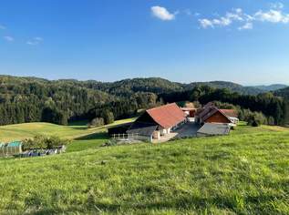 Laßnitzhöhe ! Landwirtschaft mit traumhafter Aussicht in ruhiger Lage ! 79.196m² Grund., 895000 €, Immobilien-Häuser in 8302 Nestelbach bei Graz