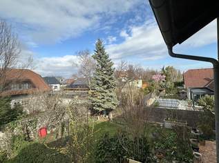Reihenhaus-Oase + ausgebautes Dachgeschoss in idyllischer Lage, 2290 €, Immobilien-Häuser in 2362 Gemeinde Biedermannsdorf