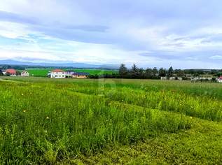 UNVERBAUBARE FERNSICHT - GROSSZÜGIGER BAUPLATZ, 310000 €, Immobilien-Grund und Boden in 7053 Hornstein UNVERBAUBARE FERNSICHT - GROSSZÜGIGER BAUPLATZ, 310000 €, Immobilien-Grund und Boden in 7053 Hornstein