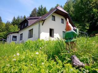 Kunst u Kulturverein Waldviertel, 99 €, Immobilien-Kleinobjekte & WGs in 3544 Gemeinde Krumau am Kamp Kunst u Kulturverein Waldviertel, 99 €, Immobilien-Kleinobjekte & WGs in 3544 Gemeinde Krumau am Kamp