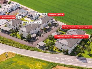 BAUSTART - GEFÖRDERTES Doppelhaus I WOHNTRAUM PAICHBERG, 345454 €, Immobilien-Häuser in 4522 Sierning BAUSTART - GEFÖRDERTES Doppelhaus I WOHNTRAUM PAICHBERG, 345454 €, Immobilien-Häuser in 4522 Sierning