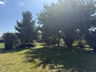 2034 Großharras - Idyllisches Landhaus mit großem Garten und Nebengebäuden, 169000 €, Immobilien-Häuser in 2034 Großharras