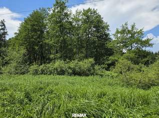 Waldgrundstück, 4500 €, Immobilien-Grund und Boden in 7537 Neuberg im Burgenland
