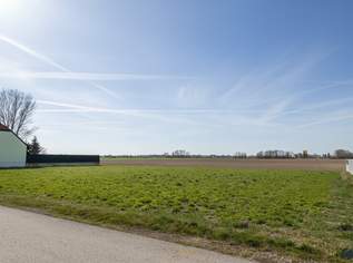 Attraktives Baugrundstück in ruhiger Lage – 849 m² in Wipfing (Nähe Tulln & Wien), 280000 €, Immobilien-Grund und Boden in 3426 Wipfing