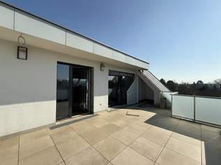 Befristet vermietetes Penthouse in ruhiger Lage, 1395000 €, Immobilien-Wohnungen in 1220 Donaustadt