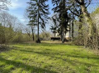 Baugrundstück in Hietzing – Toplage mit vielfältigen Bebauungsmöglichkeiten, 1499999 €, Immobilien-Grund und Boden in 1130 Hietzing Baugrundstück in Hietzing – Toplage mit vielfältigen Bebauungsmöglichkeiten, 1499999 €, Immobilien-Grund und Boden in 1130 Hietzing