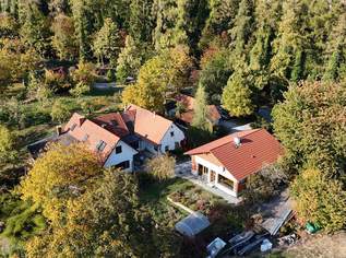 Große Liegenschaft mit 2 Häusern mit Ganztagssonne, Freiland und eigenem Wald in Ruhe-, wie Aussichtslage, 485000 €, Immobilien-Häuser in 8262 Ilz Große Liegenschaft mit 2 Häusern mit Ganztagssonne, Freiland und eigenem Wald in Ruhe-, wie Aussichtslage, 485000 €, Immobilien-Häuser in 8262 Ilz