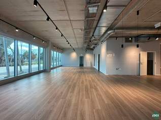 Maximale Frequenz & Sichtbarkeit – Geschäftsfläche gegenüber der Badner Bahn und stark frequentierter Kreuzung, 11970.4 €, Immobilien-Gewerbeobjekte in 2351 Gemeinde Wiener Neudorf