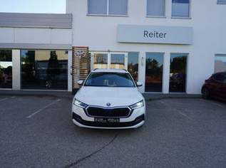 Octavia Combi 2,0 TDI DSG *LED*SHZ*AHK*, 17888 €, Auto & Fahrrad-Autos in 4600 Wels Octavia Combi 2,0 TDI DSG *LED*SHZ*AHK*, 17888 €, Auto & Fahrrad-Autos in 4600 Wels
