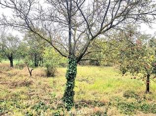 Doppelgrundstück möglich !!!, 235000 €, Immobilien-Grund und Boden in 7122 Gols Doppelgrundstück möglich !!!, 235000 €, Immobilien-Grund und Boden in 7122 Gols