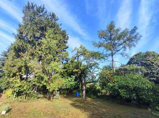 Attraktives Baugrundstück mit Westausrichtung in Perchtoldsdorf, 730000 €, Immobilien-Grund und Boden in 2380 Perchtoldsdorf