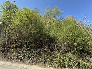 kleiner Baugrund in Hanglage zu verkaufen, 40000 €, Immobilien-Grund und Boden in 7203 Wiesen kleiner Baugrund in Hanglage zu verkaufen, 40000 €, Immobilien-Grund und Boden in 7203 Wiesen