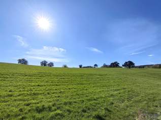 Großzügiges Baugrundstück in Aussichtslage am Wienerwaldrand, 698000 €, Immobilien-Grund und Boden in 2384 Breitenfurt Großzügiges Baugrundstück in Aussichtslage am Wienerwaldrand, 698000 €, Immobilien-Grund und Boden in 2384 Breitenfurt