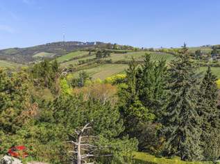 Penthouse mit Blick in die Weinberge, 1990000 €, Immobilien-Wohnungen in 1190 Döbling