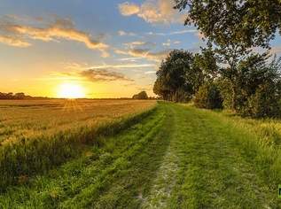 Weingärten, Land- und Forstwirtschaft sowie Verkehrsflächen, 310048 €, Immobilien-Grund und Boden in 8271 Sebersdorf Weingärten, Land- und Forstwirtschaft sowie Verkehrsflächen, 310048 €, Immobilien-Grund und Boden in 8271 Sebersdorf