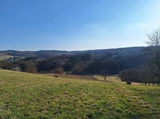 Natur pur! Haus mit Potenzial + Baugrund mit Aussicht im Südburgenland, 160000 €, Immobilien-Häuser in 7542 Gerersdorf bei Güssing