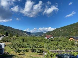 Profitables Investment: Gastgewerbe, Gastronomie und Wohnungen in Aggsbach - Niederösterreich, 0 €, Immobilien-Gewerbeobjekte in 3641 Aggsbach Markt