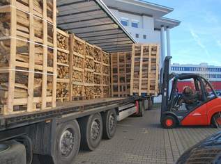 Brennholz (Eiche,Buche,Esche,Ahorn,Charme,Tanne) Brennholz (Eiche,Buche,Esche,Ahorn,Charme,Tanne)