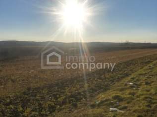 Sonniger Baugrund bei Jennersdorf, 69000 €, Immobilien-Grund und Boden in 8380 Jennersdorf