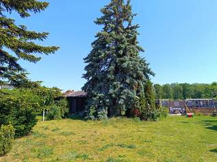 "Aufgeschlossenes Baugrundstück OHNE Bauzwang!", 210000 €, Immobilien-Grund und Boden in 2285 Gemeinde Leopoldsdorf im Marchfelde "Aufgeschlossenes Baugrundstück OHNE Bauzwang!", 210000 €, Immobilien-Grund und Boden in 2285 Gemeinde Leopoldsdorf im Marchfelde