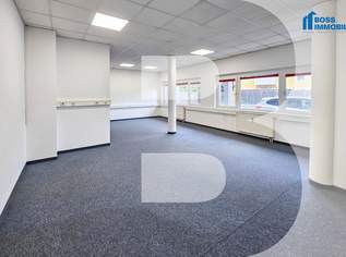 Kompakt, zentral, startklar - 66 m² Bürofläche, 605.73 €, Immobilien-Gewerbeobjekte in 4050 Traun