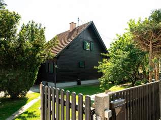 Holzhaus in Pichling mit Potenzial, 430000 €, Immobilien-Häuser in Oberösterreich