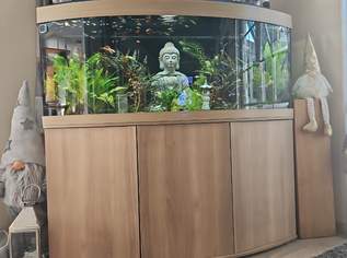 450 liter juwel Panorama Aquarium  Kombi, 500 €, Marktplatz-Tiere & Tierbedarf in 3100 St. Pölten