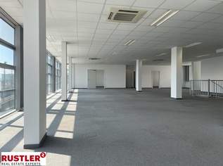 Exklusives Büro/Praxis im besten Lage – Ihr neuer Standort für Erfolg!, 2601.84 €, Immobilien-Gewerbeobjekte in Oberösterreich Exklusives Büro/Praxis im besten Lage – Ihr neuer Standort für Erfolg!, 2601.84 €, Immobilien-Gewerbeobjekte in Oberösterreich