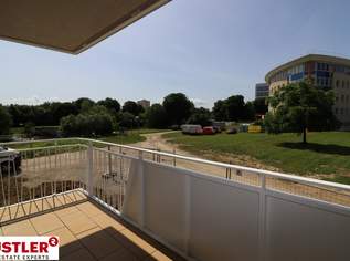 Helle Neubauwohnungen direkt an der Traisen, 494400 €, Immobilien-Wohnungen in 3100 Stattersdorf