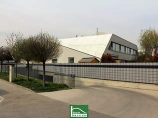 PKW Tiefgaragenstellplatz im Neubau- trockene Garage in der Draschestraße - ab sofort verfügbar! - JETZT ZUSCHLAGEN, 90.95 €, Immobilien-Kleinobjekte & WGs in 1230 Liesing