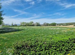 Grundstück für Sport oder Camping direkt neben dem See und Freizeitpark, 590000 €, Immobilien-Grund und Boden in 8265 Großsteinbach