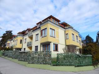 Sanierte Dachterrassenwohnung mit Fernblick in der Kaasgrabengasse, 2490 €, Immobilien-Wohnungen in 1190 Döbling Sanierte Dachterrassenwohnung mit Fernblick in der Kaasgrabengasse, 2490 €, Immobilien-Wohnungen in 1190 Döbling