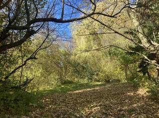 BAUGRUND IN ZENTRALER LAGE - KEINE WOHNEINHEITENBESCHRÄNKUNG, 672000 €, Immobilien-Grund und Boden in 3002 Purkersdorf BAUGRUND IN ZENTRALER LAGE - KEINE WOHNEINHEITENBESCHRÄNKUNG, 672000 €, Immobilien-Grund und Boden in 3002 Purkersdorf