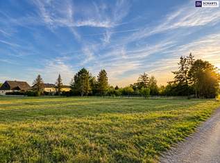 Ihr Bauplatz zum Traumpreis – Grundstücke ab € 159.000!, 159000 €, Immobilien-Grund und Boden in 2434 Katastralgemeinde Pischelsdorf Ihr Bauplatz zum Traumpreis – Grundstücke ab € 159.000!, 159000 €, Immobilien-Grund und Boden in 2434 Katastralgemeinde Pischelsdorf