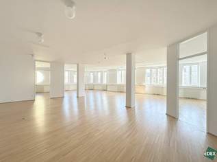 Hochwertige Büro- oder Ordinationsfläche in ausgezeichneter Lage nahe dem Aumannplatz, 2250 €, Immobilien-Gewerbeobjekte in 1180 Währing