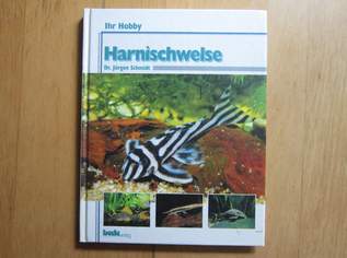 Harnischwelse - Dr. Jürgen Schmidt - Bede Verlag, 3 €, Marktplatz-Bücher & Bildbände in 1100 Favoriten